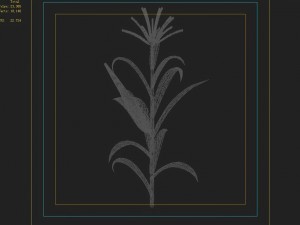 koike town - plant - corn 02 3Dモデル
