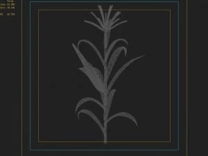 koike town - plant - corn 02 3D Model