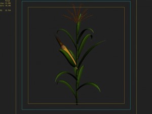 koike town - plant - corn 02 3Dモデル