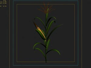 koike town - plant - corn 02 3D Model
