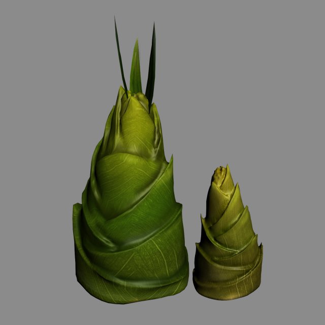 koike town - plants - bamboo shoots 01 3D Modell .c4d .max .obj .3ds .fbx .stl .blend