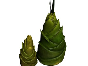 koike town - plants - bamboo shoots 01 3D Modell