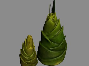 koike town - plants - bamboo shoots 01 3D Model