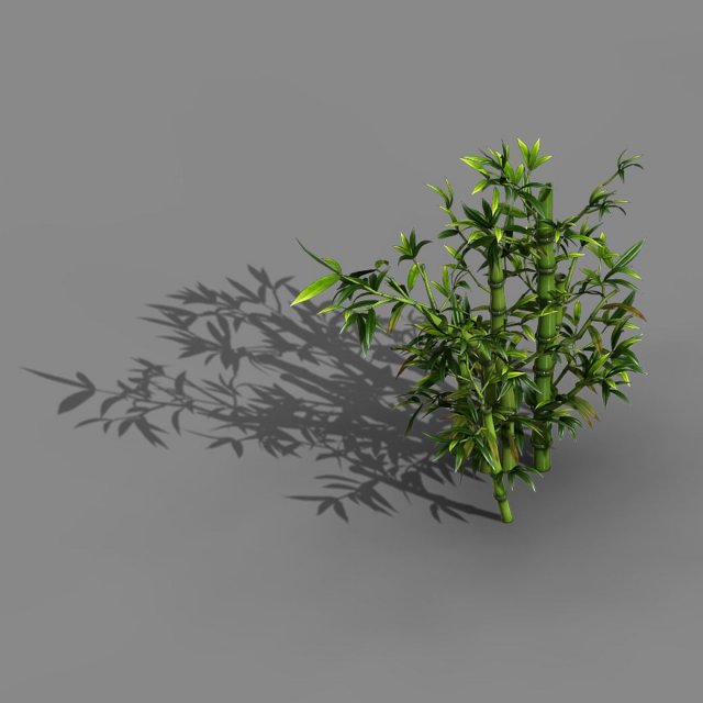 koike town - plant - bamboo 01 3D Модель .c4d .max .obj .3ds .fbx .stl .blend 