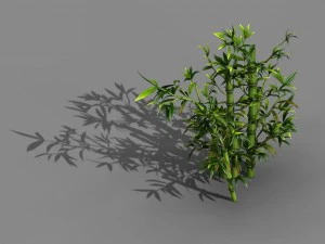 місто койке - рослина - бамбук 01 3D Модель
