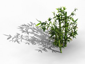 koike town - plant - bamboo 01 3D Модель
