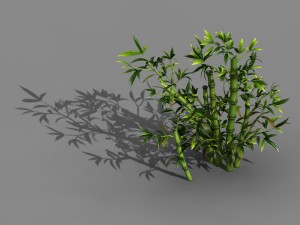 koike town - plant - bamboo 01 3D Модель