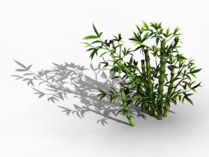 koike town - plant - bamboo 01 3D Модель