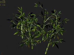 koike town - plant - bamboo 01 3D Модель