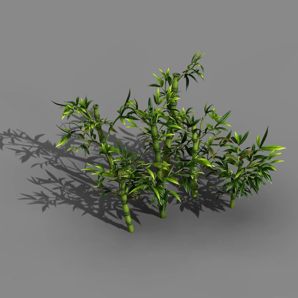 koike town - plant - bamboo 02 3D Model .c4d .max .obj .3ds .fbx .stl .blend