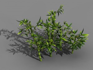 koike town - plant - bamboo 02 3D Model