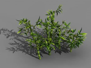 місто койке - рослина - бамбук 02 3D Модель