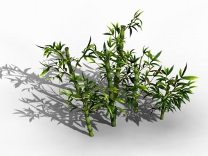 koike town - plant - bamboo 02 3D Модель