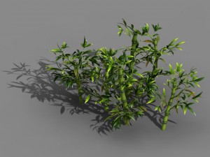 koike town - plant - bamboo 02 3D Модель