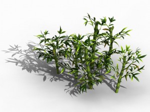 koike town - plant - bamboo 02 3D Модель