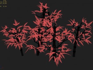 koike town - plant - bamboo 02 3D Модель