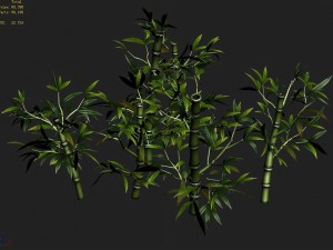 koike town - plant - bamboo 02 3D Модель