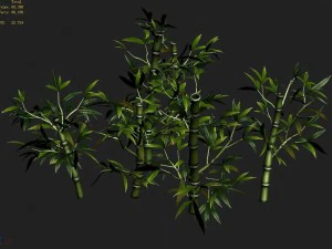 koike town - plant - bamboo 02 3D Model