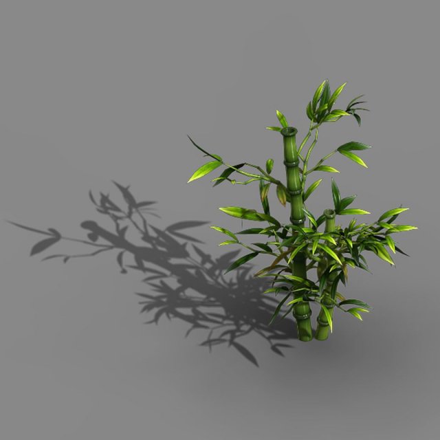 koike town - plant - bamboo 03 Modèle 3D .c4d .max .obj .3ds .fbx .stl .blend 