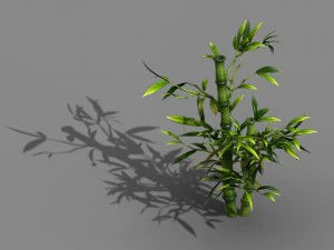 小池镇 - 植物 - 竹子 03 3D 模型