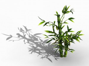 koike town - plant - bamboo 03 Modèle 3D