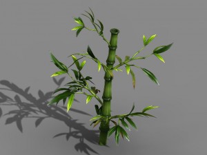 koike town - plant - bamboo 03 Modèle 3D