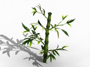 koike town - plant - bamboo 03 Modèle 3D