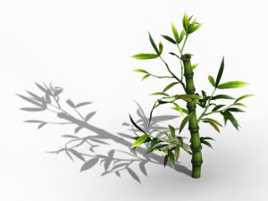 koike town - plant - bamboo 03 Modèle 3D