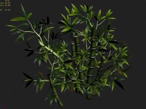 koike town - plant - bamboo 03 Modèle 3D