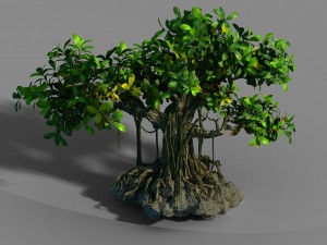 small bamboo peak - big banyan tree 01 Model 3D