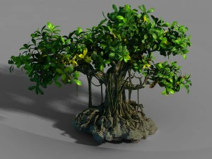 маленька бамбукова вершина - великий баньян 01 3D Модель