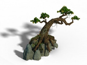 small bamboo peak - tree 01 Model 3D