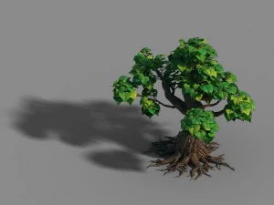 маленька бамбукова вершина - дерево 04 3D Модель