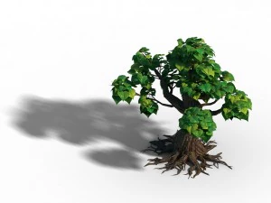 small bamboo peak - tree 04 3D Model