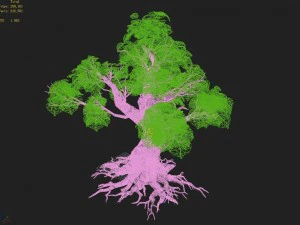 small bamboo peak - tree 04 3D Model