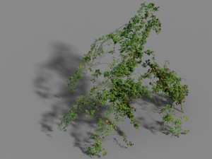 small bamboo peak - tree 05 3D Model