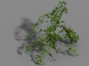 small bamboo peak - tree 05 3D Model