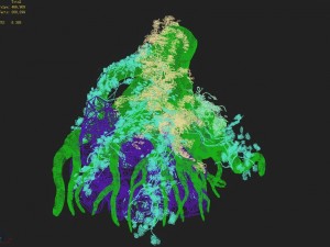 small bamboo peak - tree 05 3D Model