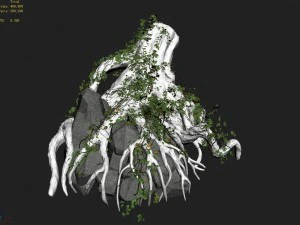 small bamboo peak - tree 05 3D Model