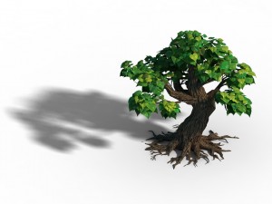 small bamboo peak - tree 08 Model 3D