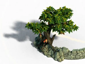 small bamboo peak - the surface 06 3D Model