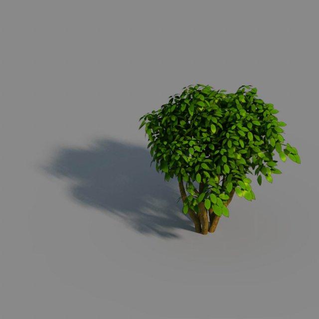 small bamboo peak - tree 02 3D Model .c4d .max .obj .3ds .fbx .stl .blend 