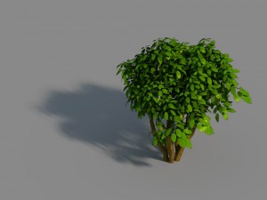 small bamboo peak - tree 02 Modèle 3D