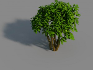 small bamboo peak - tree 02 3D Model