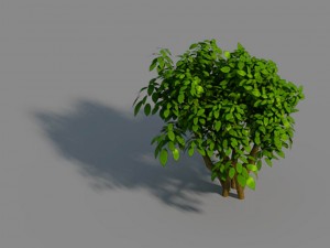small bamboo peak - tree 02 3D Model