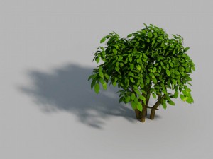 small bamboo peak - tree 02 3D Model