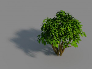 small bamboo peak - tree 02 3D Model