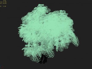 small bamboo peak - tree 02 3D Model