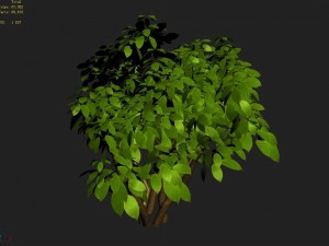 small bamboo peak - tree 02 3D Model