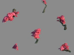 puncak bambu kecil - pohon bambu 02 Model 3D